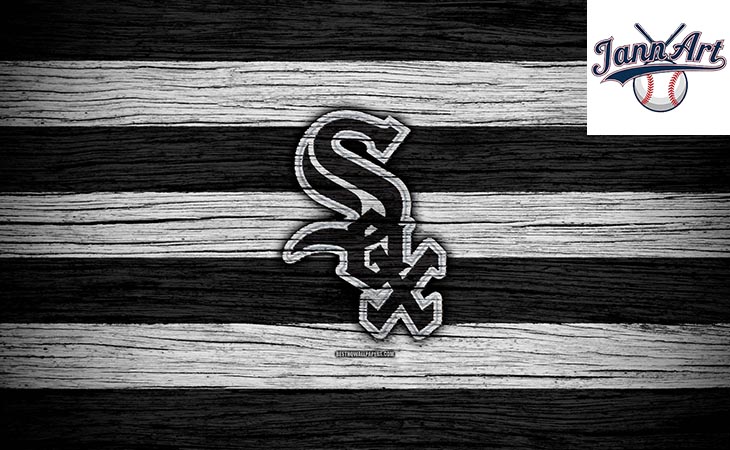 Chicago White Sox Banner
